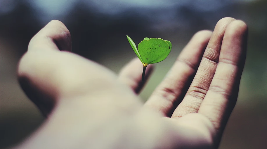 Grow or go