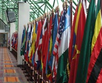 UN flags