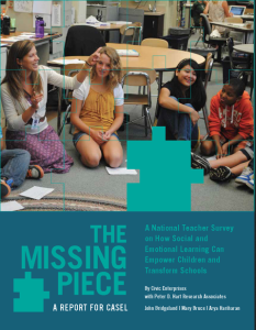 the missing piece